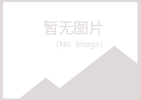 宝塔区青曼音乐有限公司